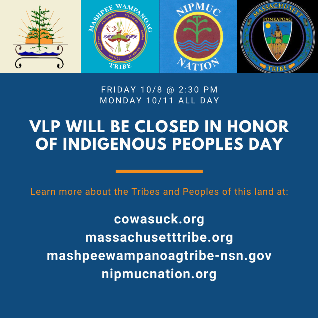 Happy Indigenous Peoples Day! - Volunteer Lawyers Project